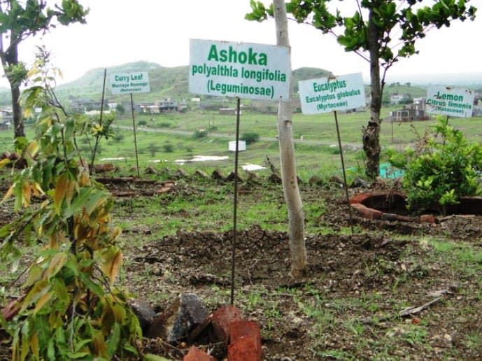 K.T. Patil College of Pharmacy Osmanabad Campus photo 14