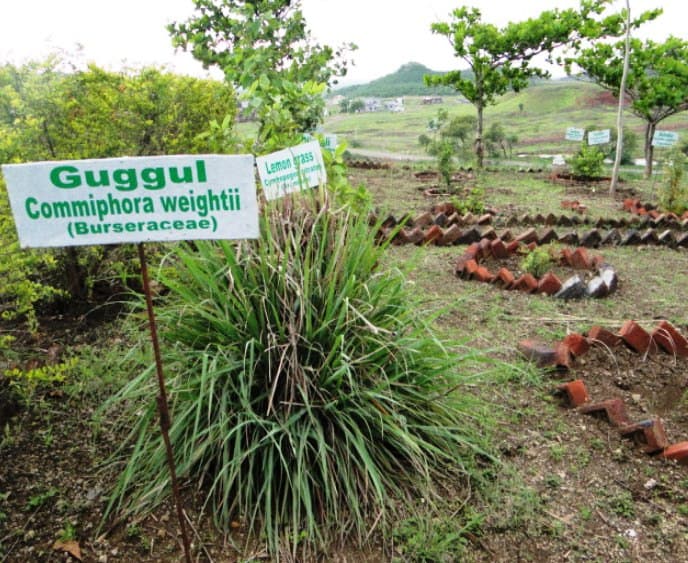 K.T. Patil College of Pharmacy Osmanabad Campus photo 15