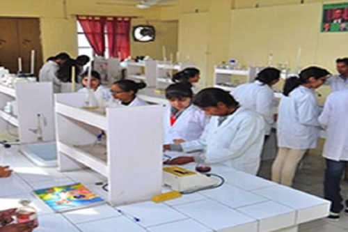 Shree Babasaheb Gharfalkar College of Pharmacy Nagpur Gallery photo 3
