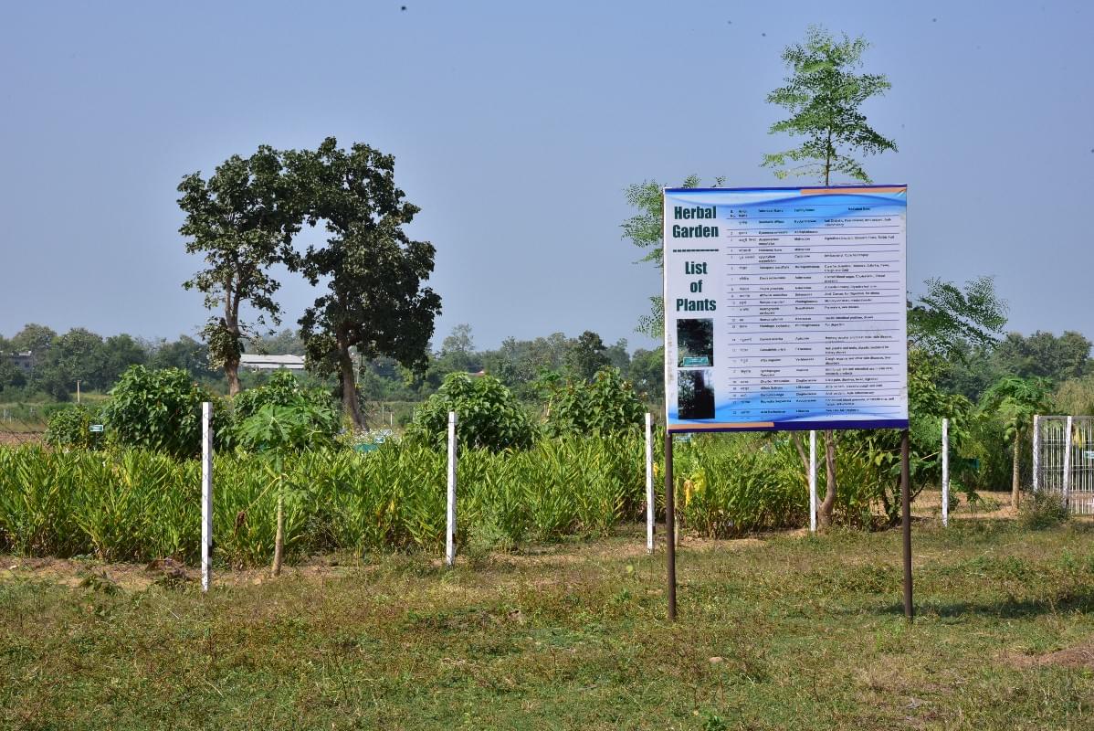 CVRU Bilaspur Campus Infrastructure photo 32