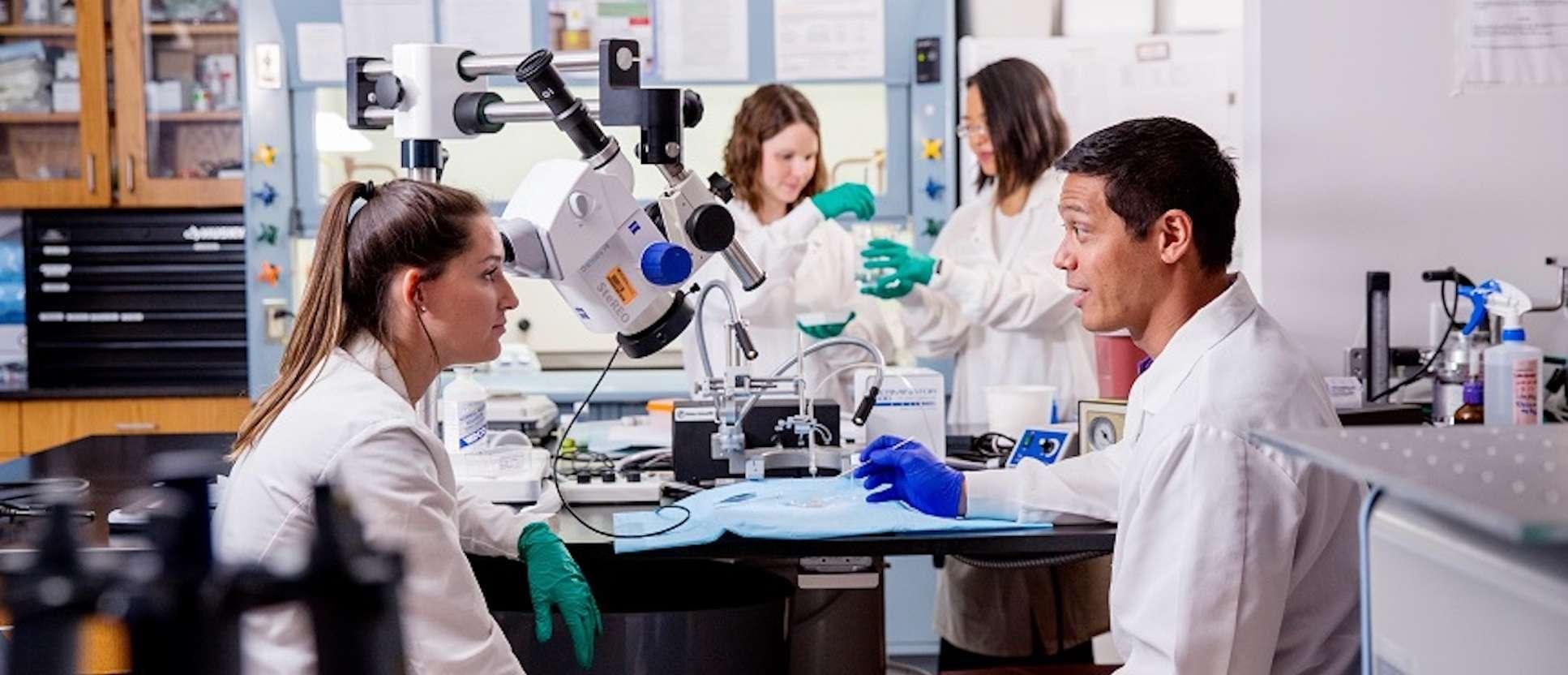 Loknete Dr. J.D. College of Pharmacy Nashik College Ambience photo 15