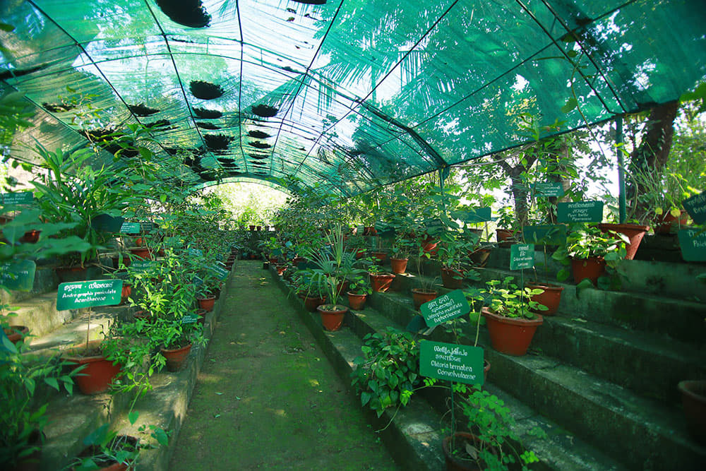 Poomulli Neelakandan Namboodiripad Memorial Ayurveda Medical College Palakkad Campus photo 4