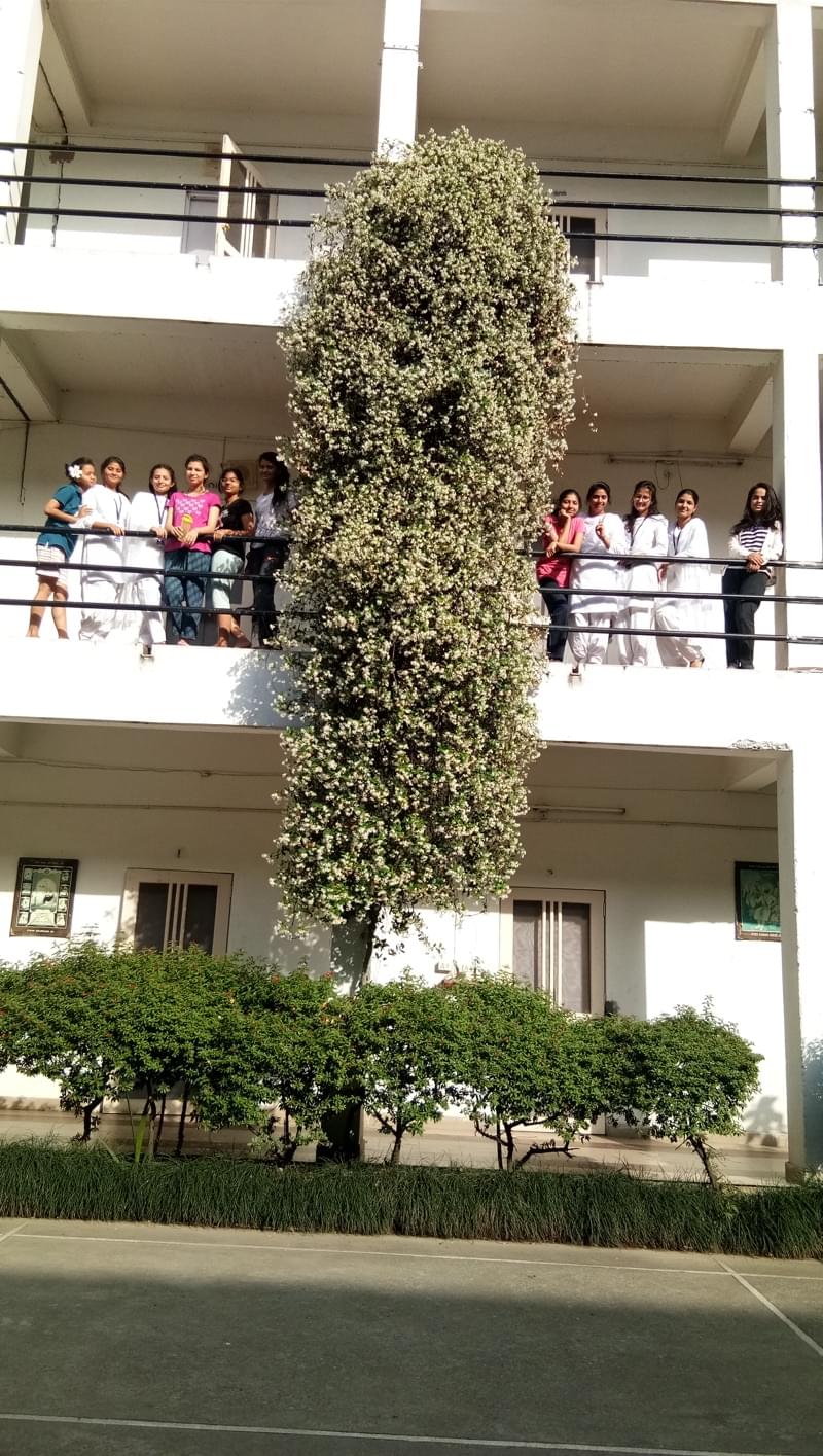 SBS University hostel photo 11