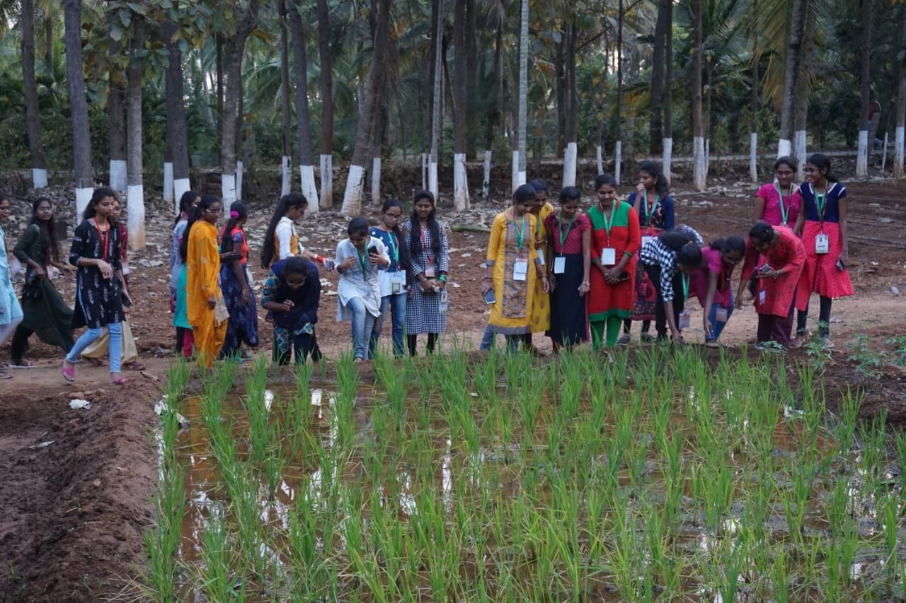 BESTIU Events photo 9