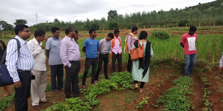 KIIT School of Rural Management Bhubaneswar Field Work photo 5