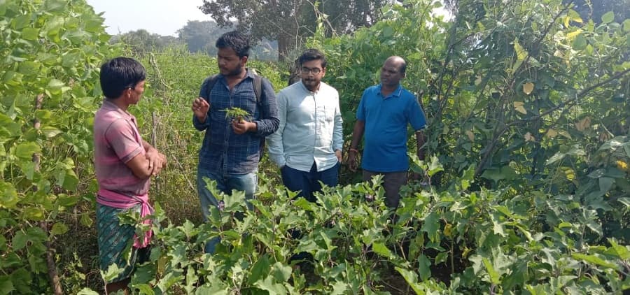 KIIT School of Rural Management Bhubaneswar Field Work photo 17