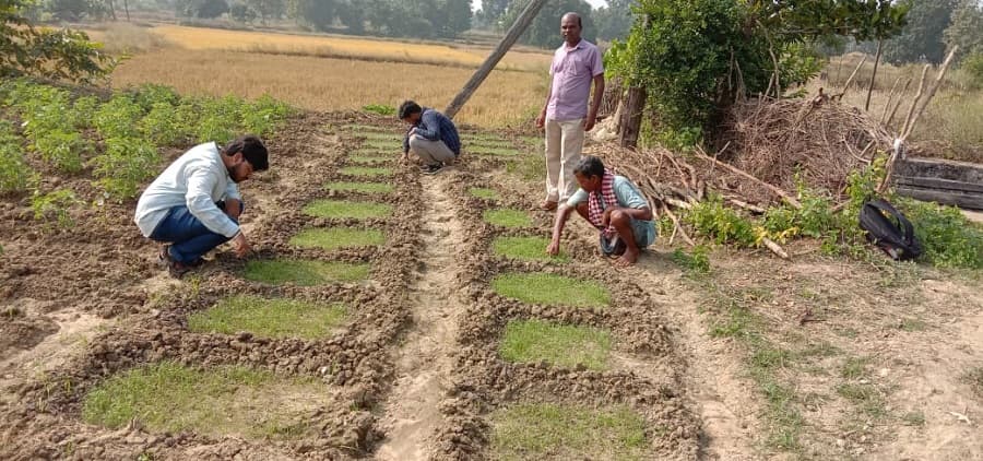 KIIT School of Rural Management Bhubaneswar Field Work photo 18