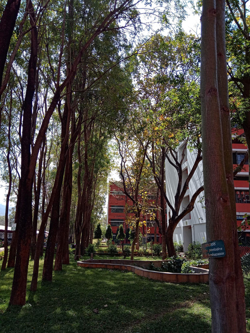 JSSCACS Infrastructure photo 6