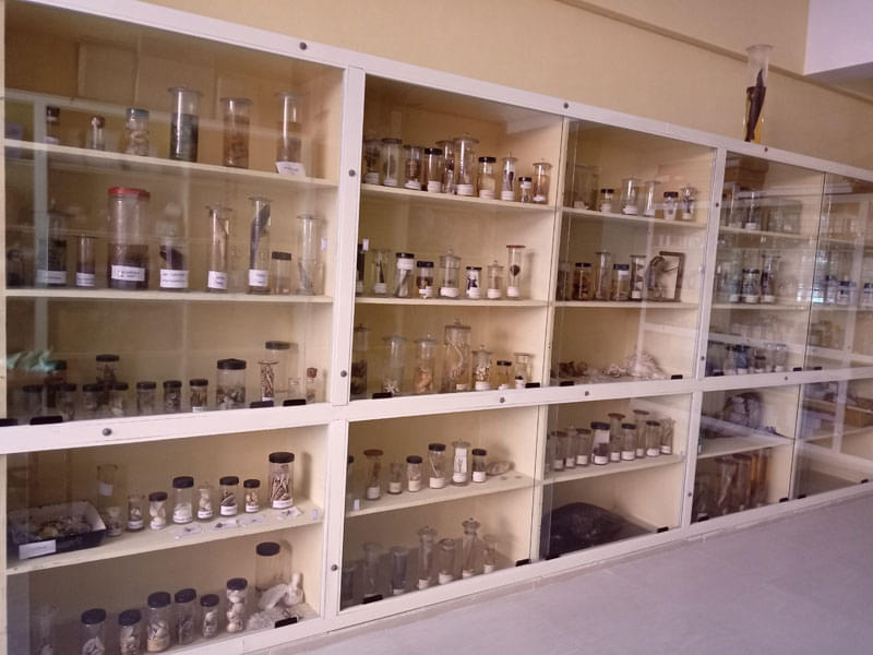 JSSCACS Infrastructure photo 20