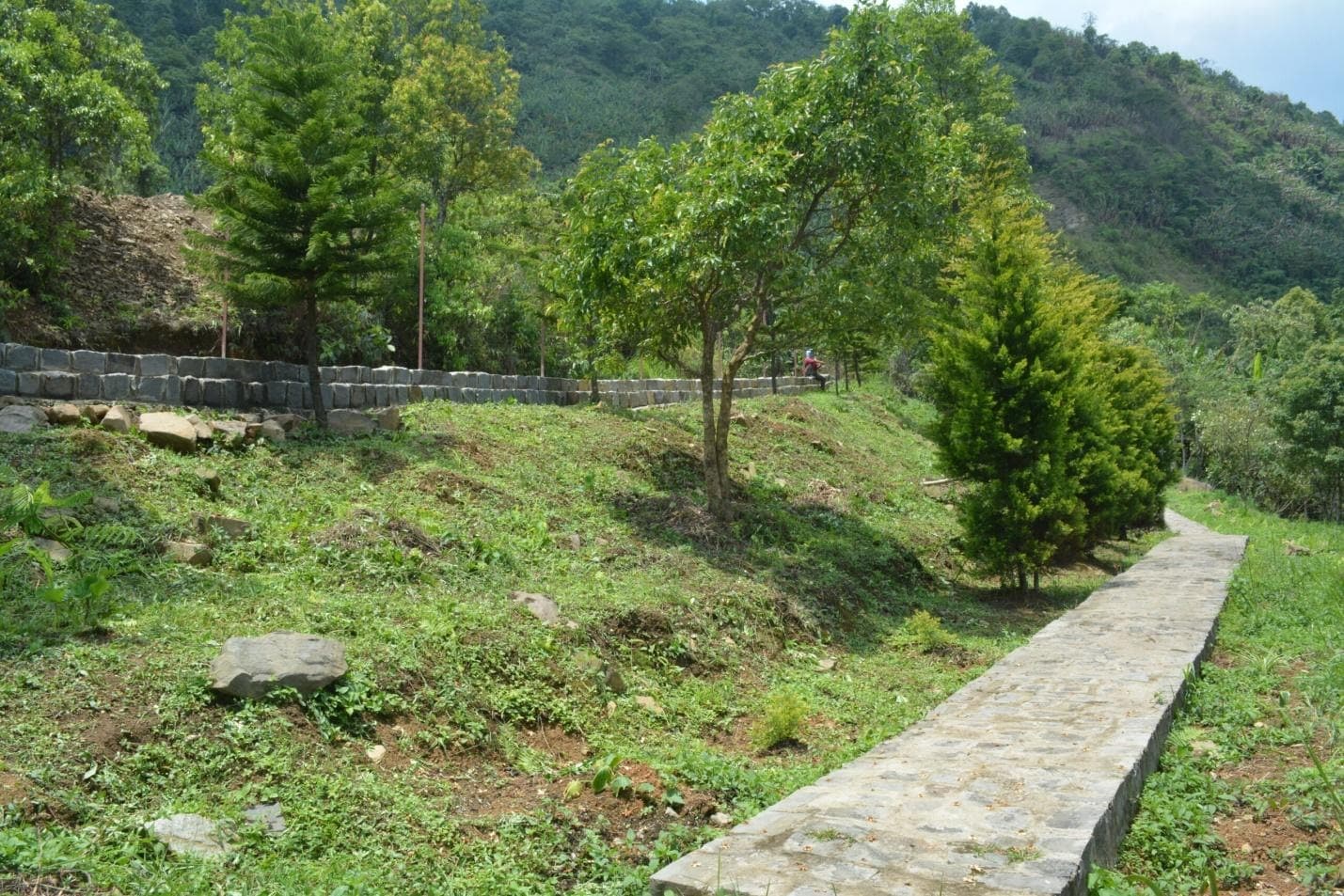 Modern College Kohima Academic Building photo 4