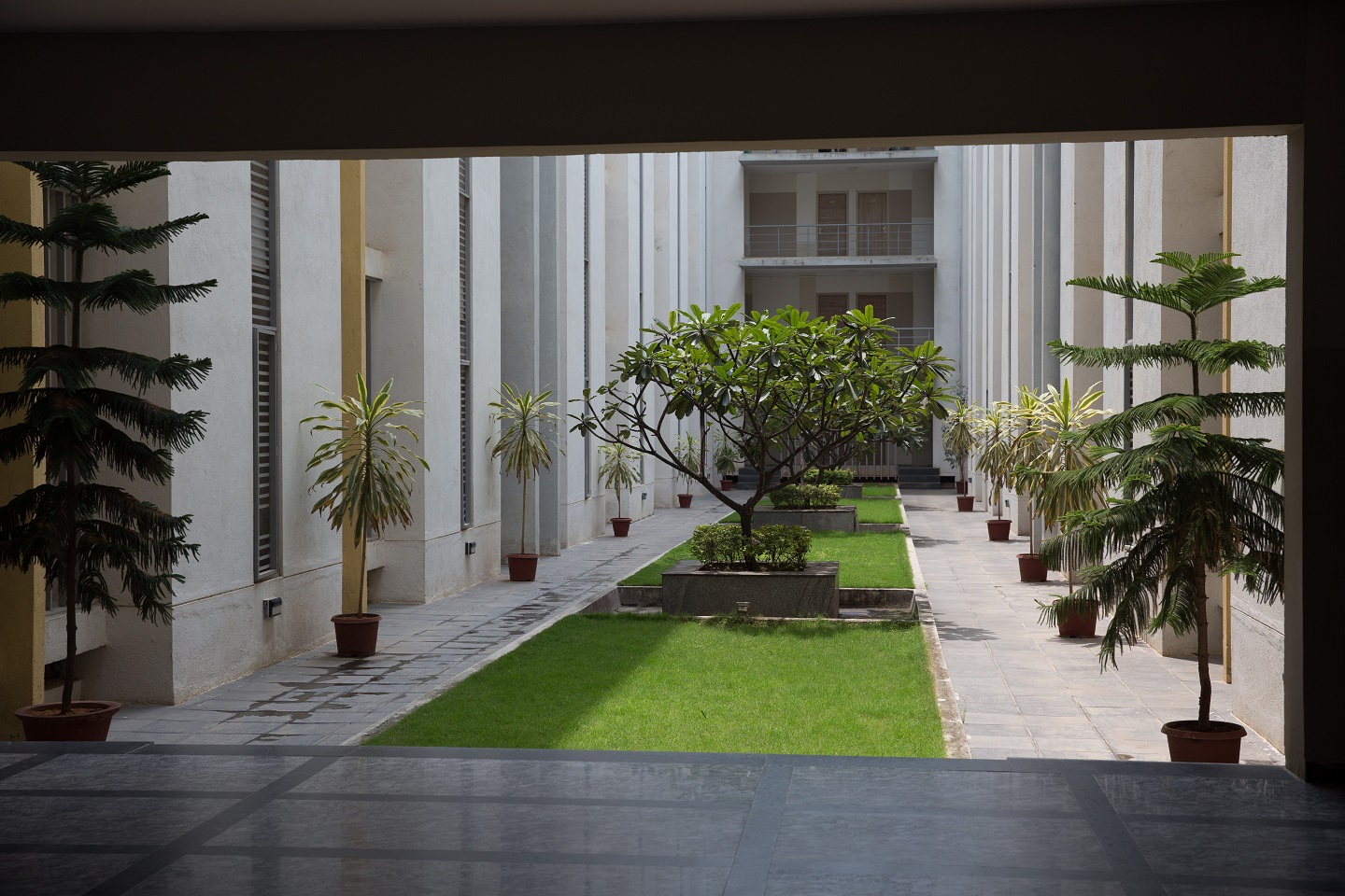 Welingkar Bangalore Campus photo 6