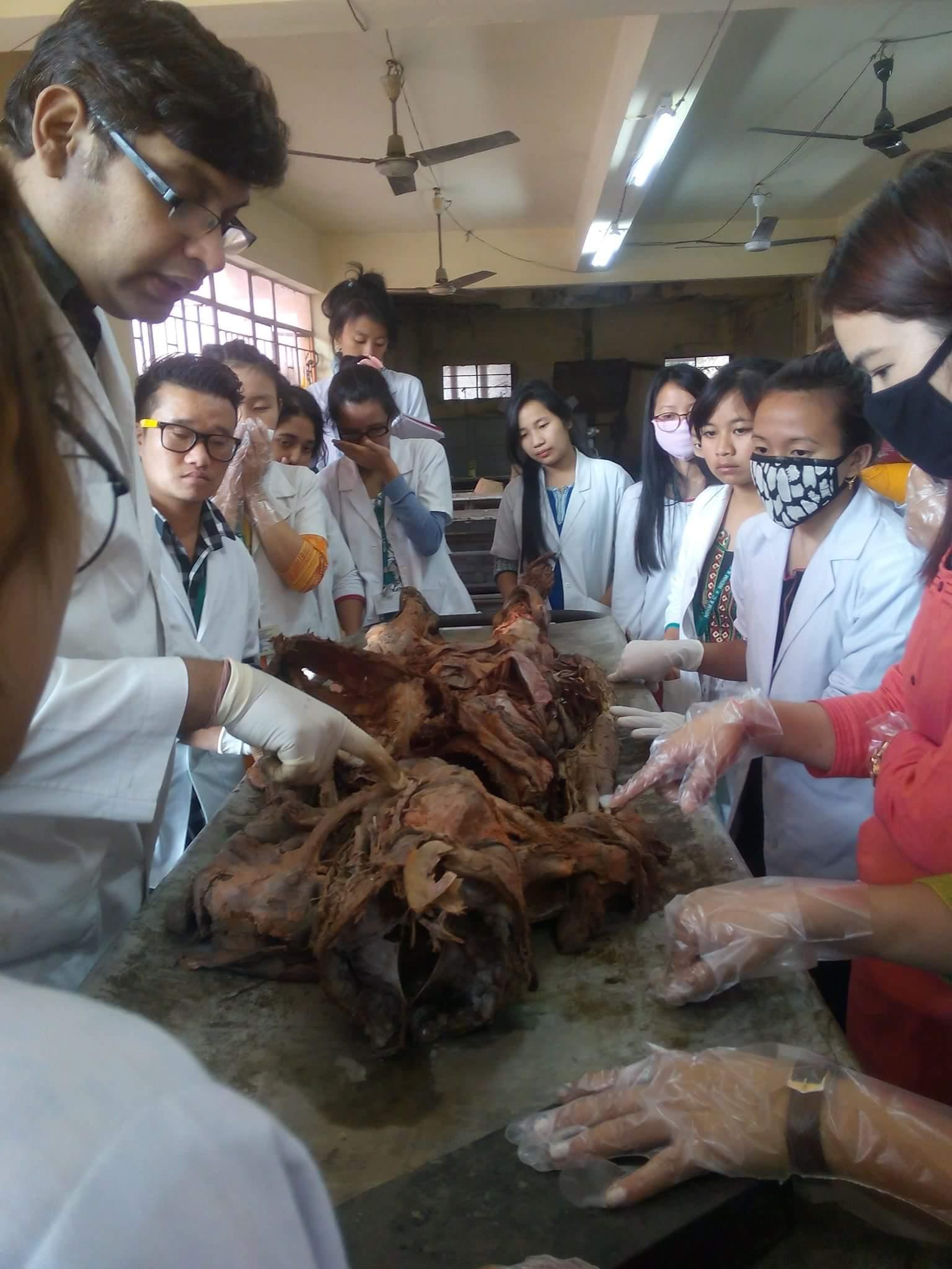 North East Homoeopathic Medical College And Hospital Itanagar Activities photo 13