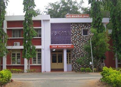 TNAU Campus photo 13