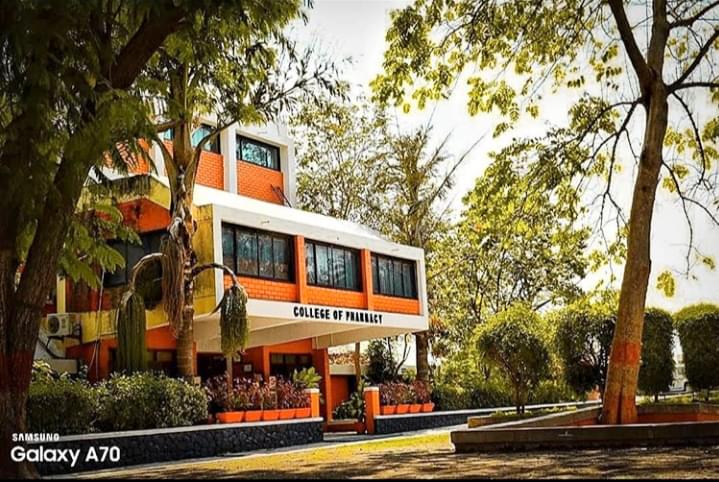 IPS Academy Indore Campus photo 9