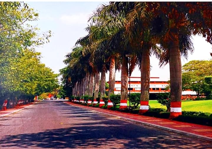 IPS Academy Indore Campus photo 15