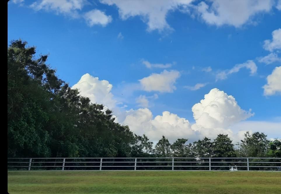 SECE Infrastructure photo 19