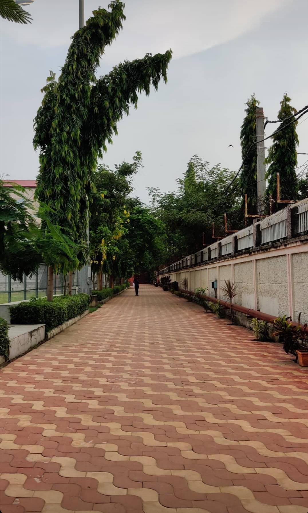 NIT Patna Campus photo 18