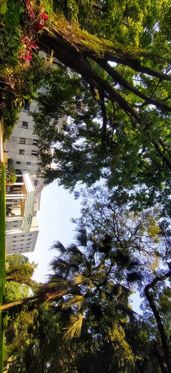 MPKV Campus photo 13