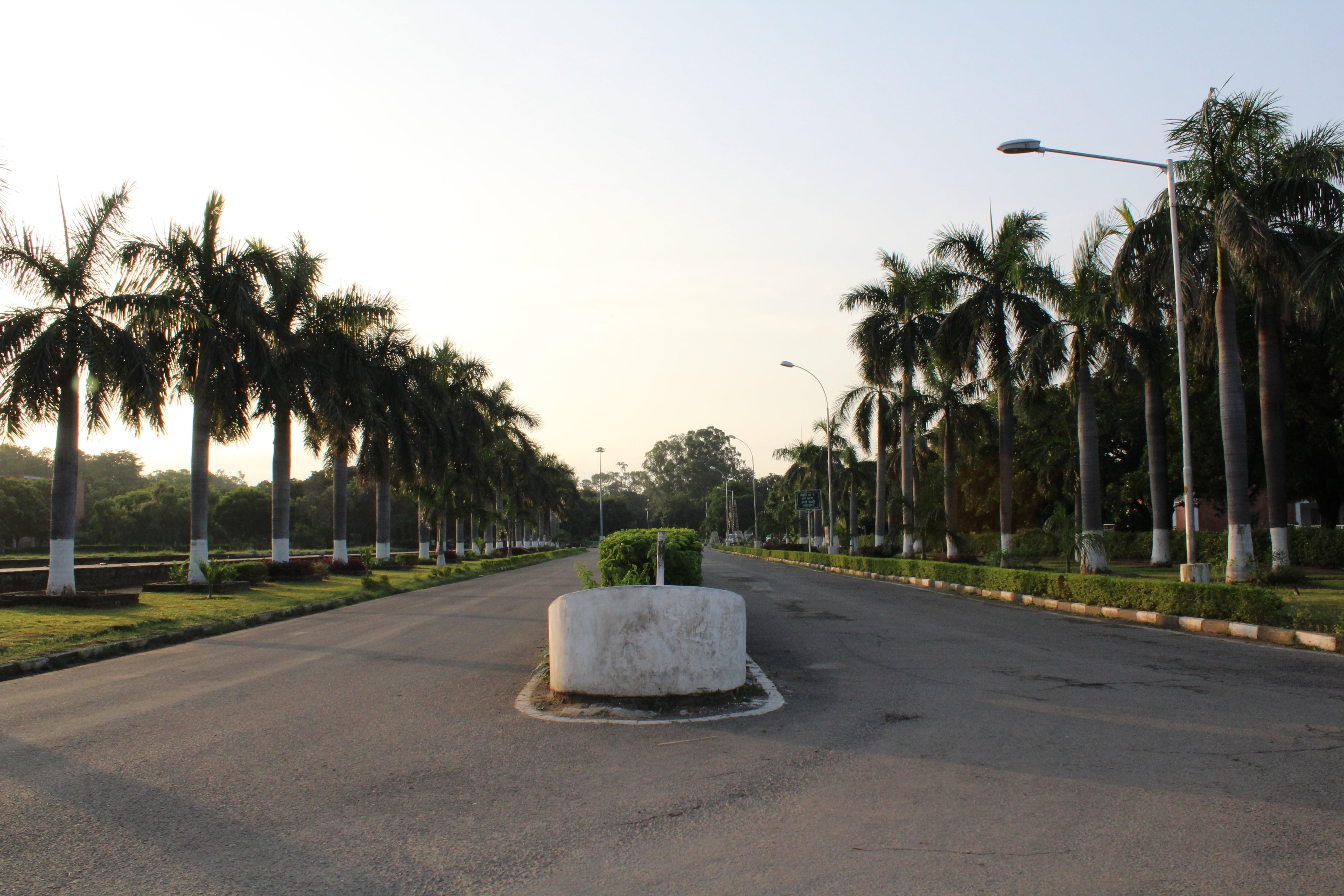 UBS Chandigarh Campus photo 12
