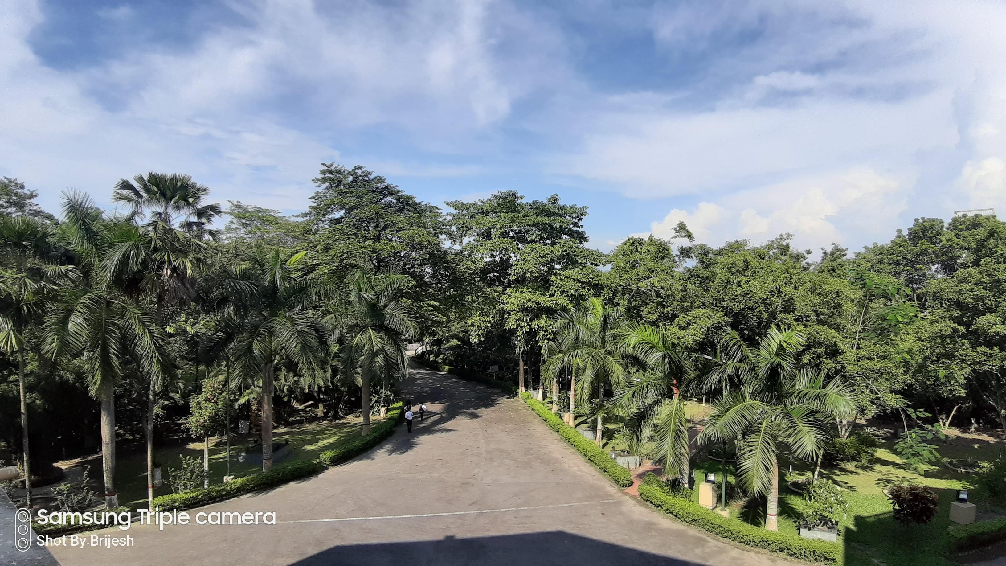 Siliguri Institute of Technology Darjeeling Campus photo 6