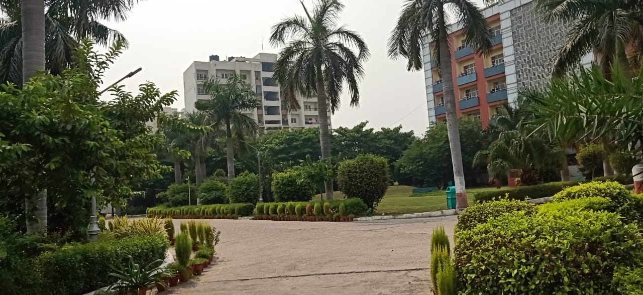 FDDI Noida Infrastructure photo 11