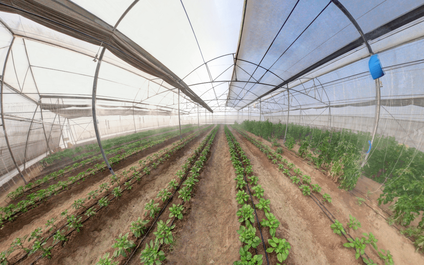 LPU LPU Campus photo 27