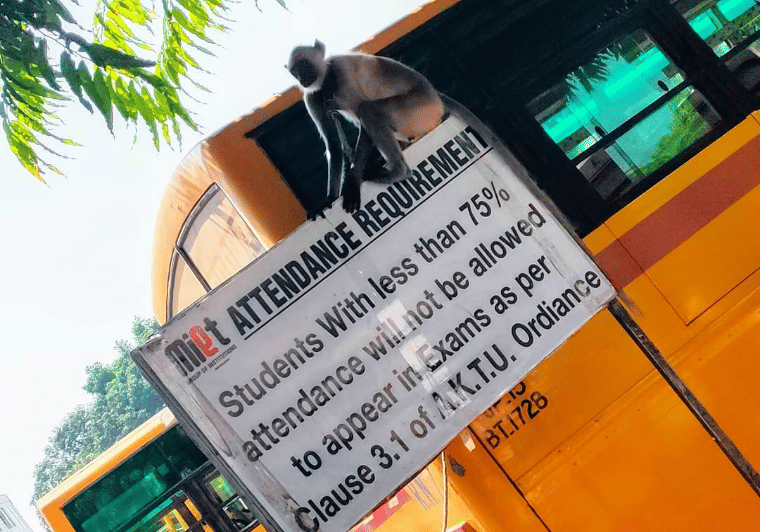 MIET Meerut Campus photo 7