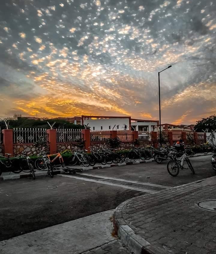 MNIT Jaipur Campus photo 13