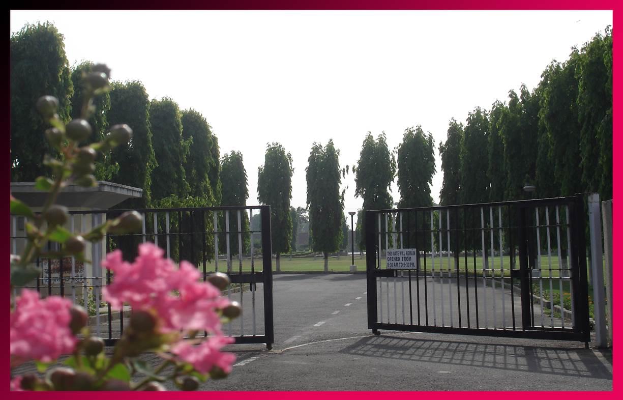 Thapar University Campus photo 19