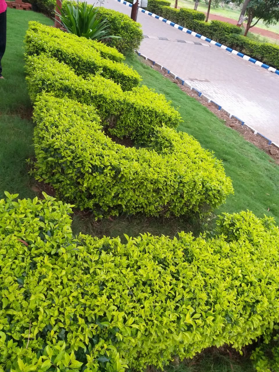 ICEM Campus photo 17