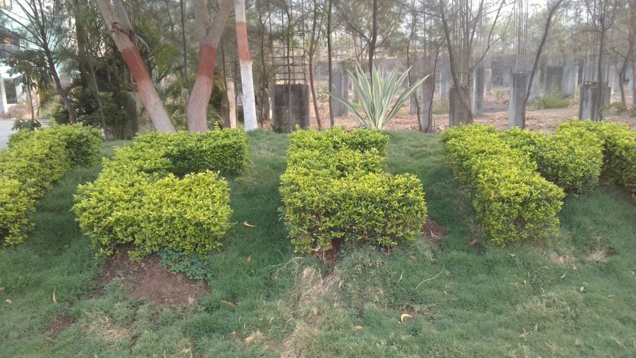 ICEM Campus photo 18