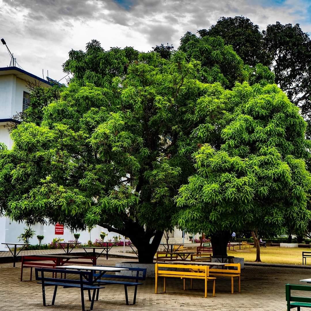 Amrapali University Haldwani hostel photo 14