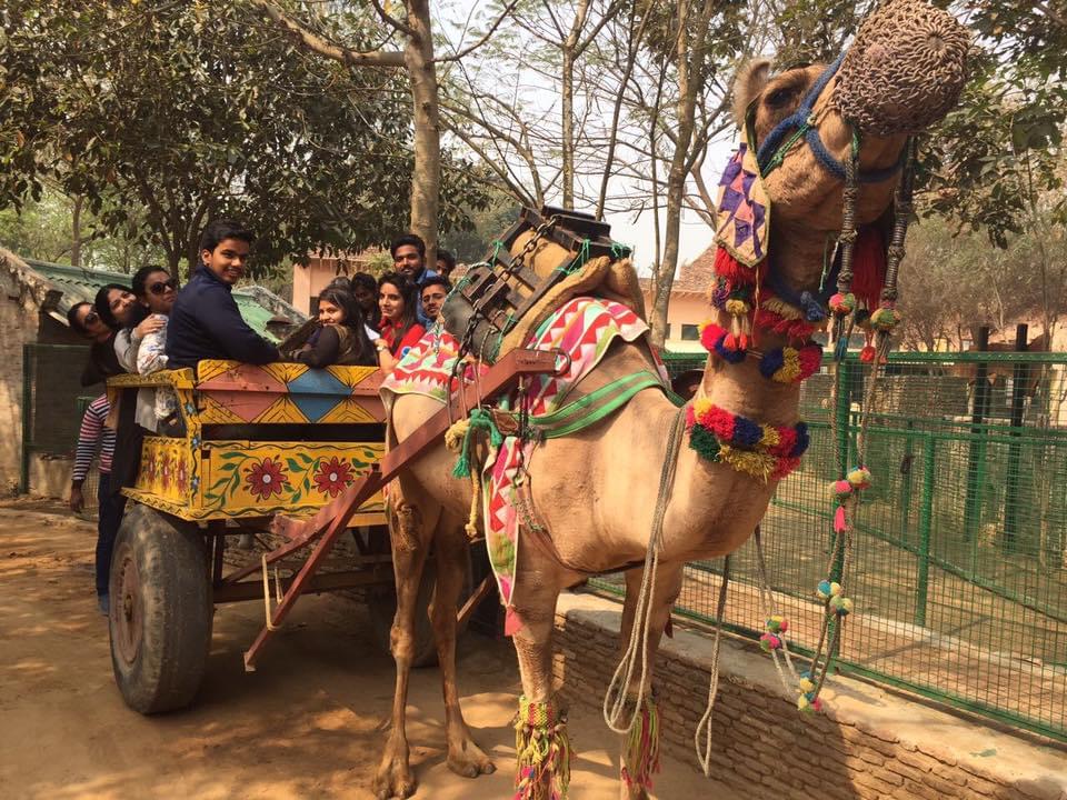 Sri Sukhmani Institute of Management, Dwarka New Delhi Events photo 9