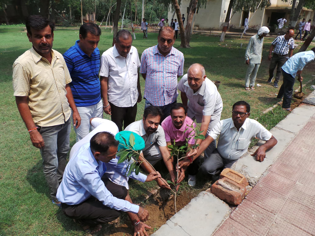 D.A.V College Malout Extra Curriculars photo 4