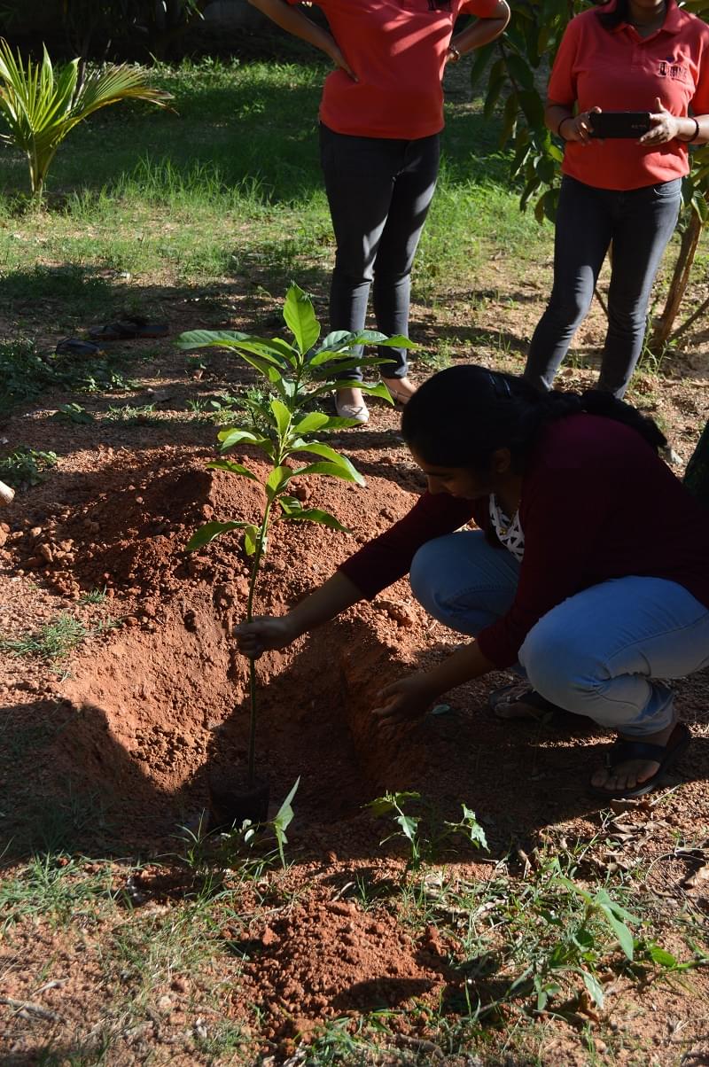 IIHMR Bangalore Environment Day photo 1