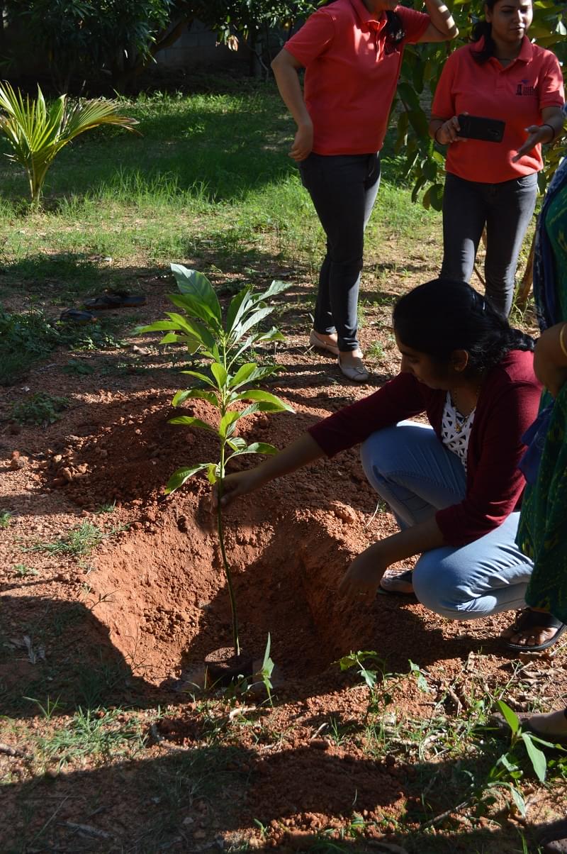 IIHMR Bangalore Environment Day photo 3