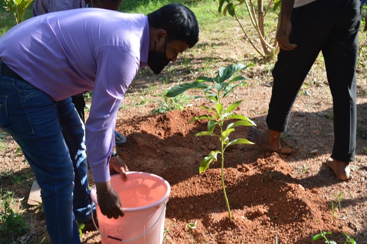 IIHMR Bangalore Environment Day photo 9