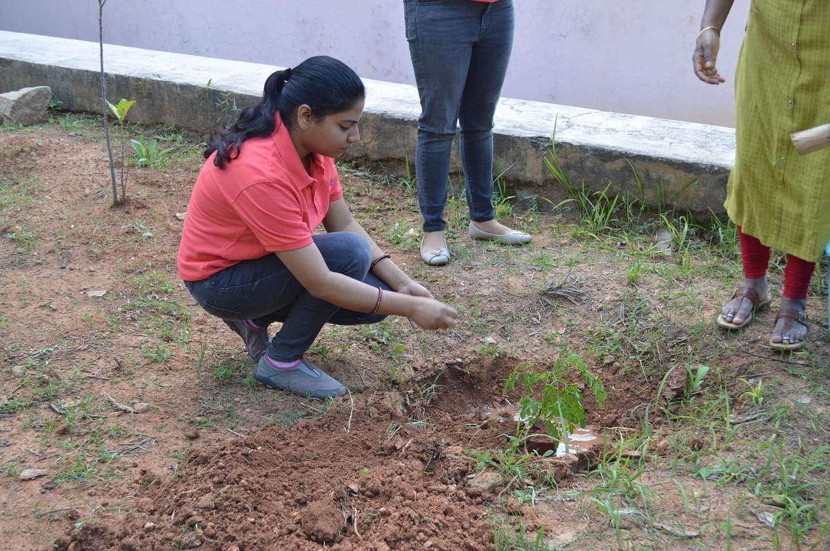 IIHMR Bangalore Environment Day photo 17