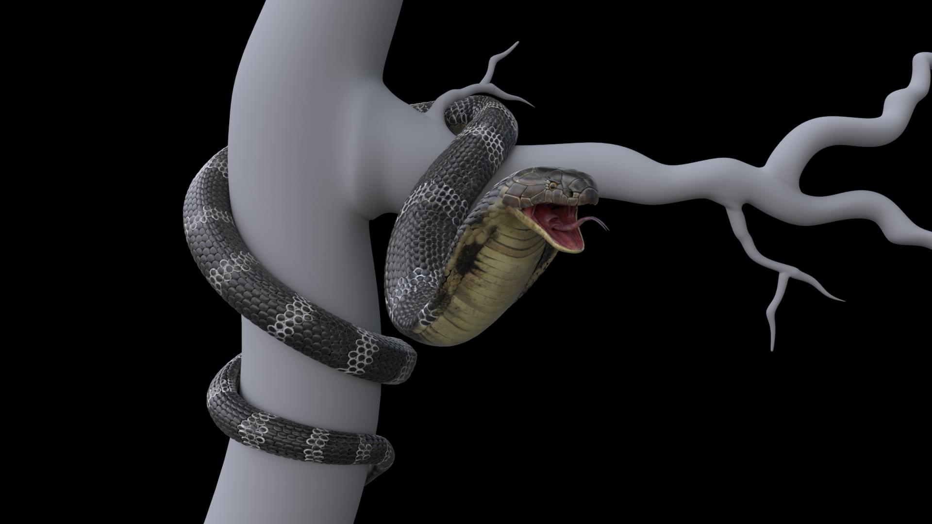 IACG Multimedia College Hyderabad Students Work photo 34