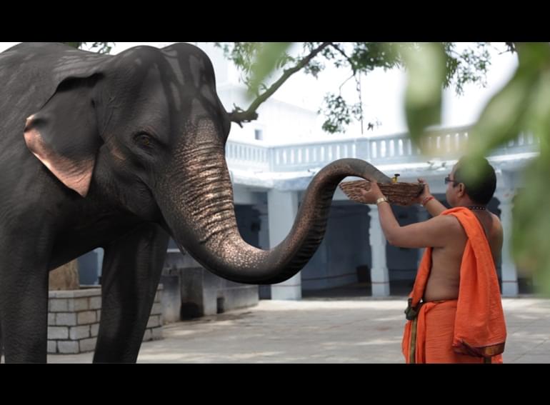 IACG Multimedia College Hyderabad Students Work photo 49