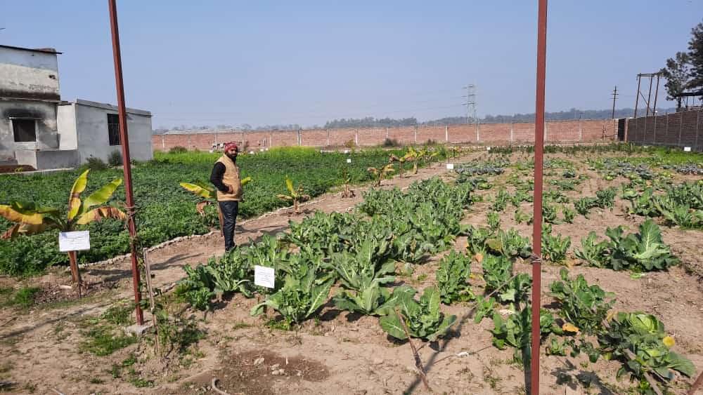 Shivalik Institute of Professional Studies Dehradun Campus photo 5