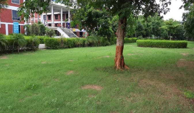 Rai School of Agriculture Ahmedabad Campus photo 2