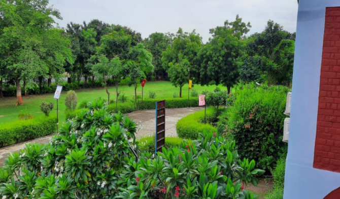 School of Law, Rai University Ahmedabad Campus photo 6