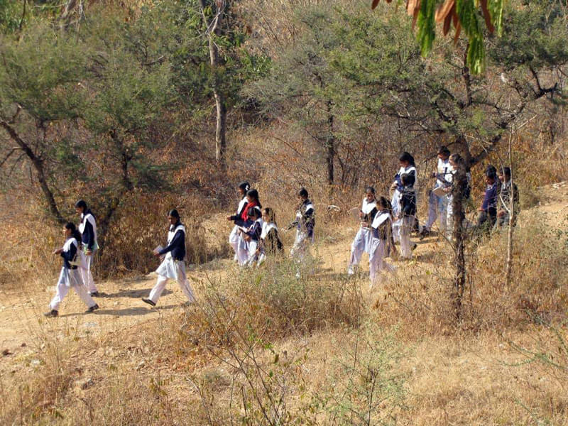 Vidya Bhawan Polytechnic College Udaipur Extra Curriculars photo 12