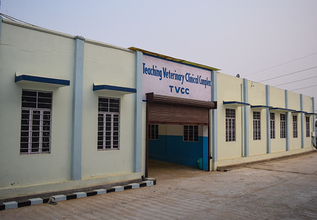 Arawali Veterinary College Sikar Campus photo 3