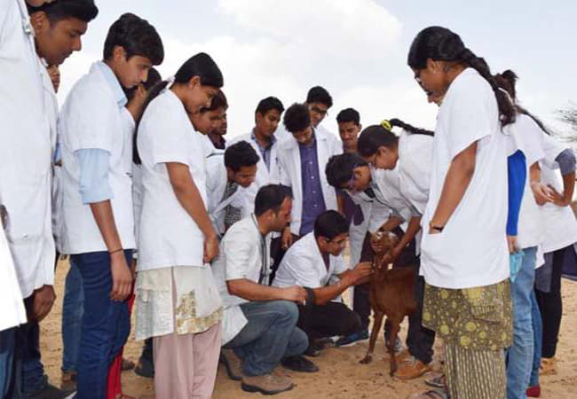 Arawali Veterinary College Sikar Activities photo 6