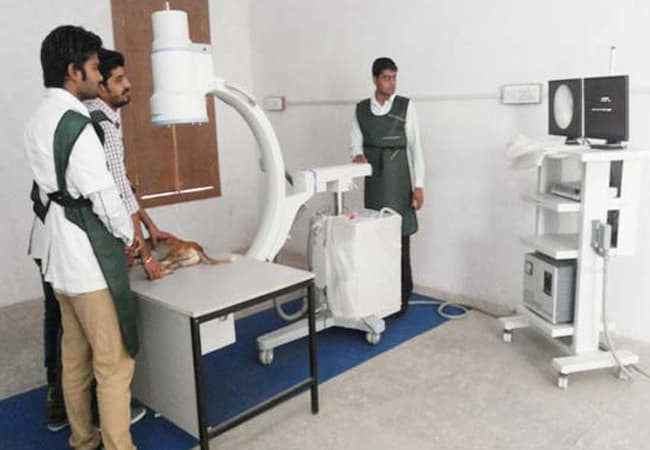 Arawali Veterinary College Sikar Activities photo 4