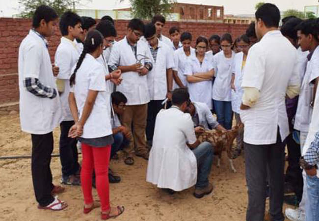 Arawali Veterinary College Sikar Activities photo 7