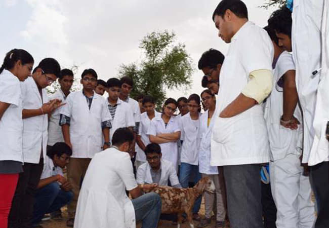 Arawali Veterinary College Sikar Activities photo 5