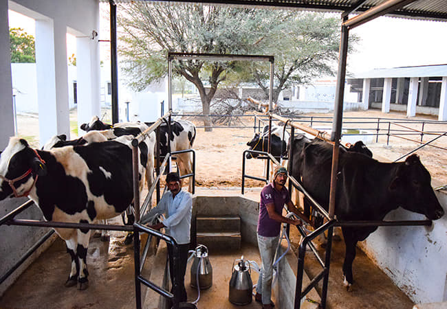 Arawali Veterinary College Sikar Activities photo 3